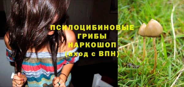 ALPHA PVP Арсеньев