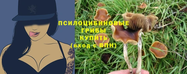 mix Аркадак