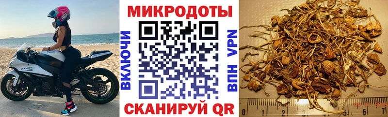 Псилоцибиновые грибы ЛСД  купить закладку  Свободный 